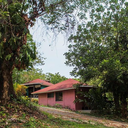 Winíka Alterra Villa Palenque Kültér fotó