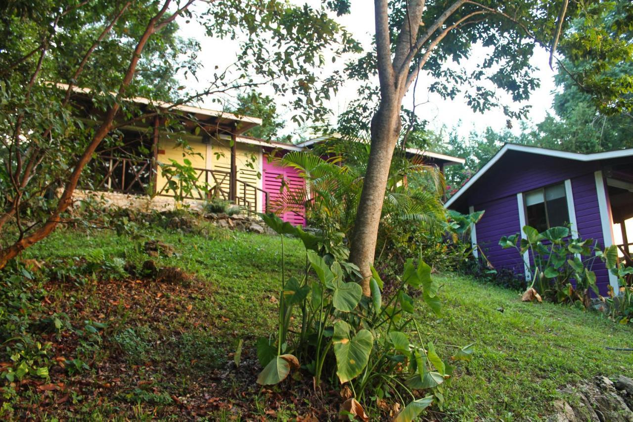 Winíka Alterra Villa Palenque Kültér fotó
