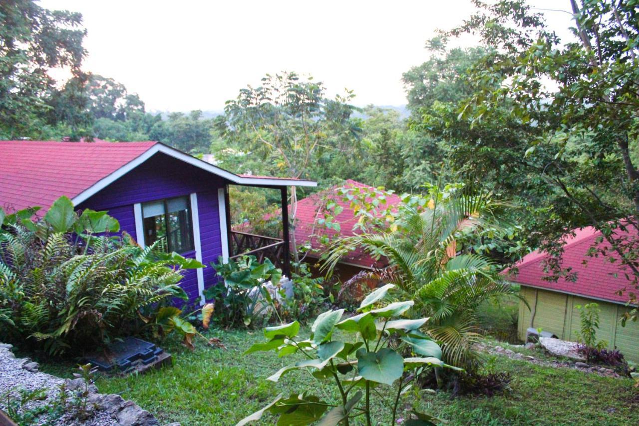 Winíka Alterra Villa Palenque Kültér fotó
