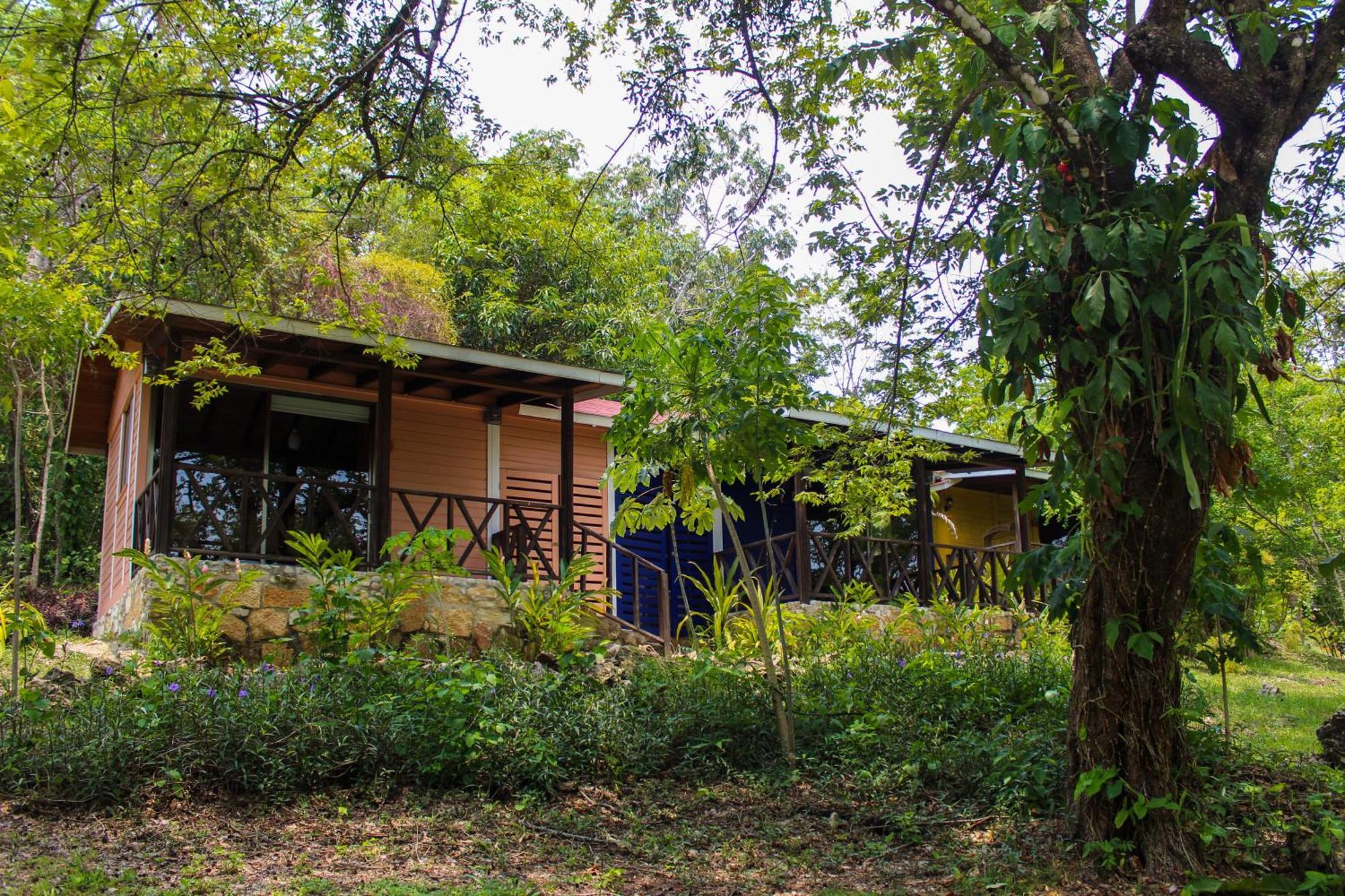Winíka Alterra Villa Palenque Kültér fotó