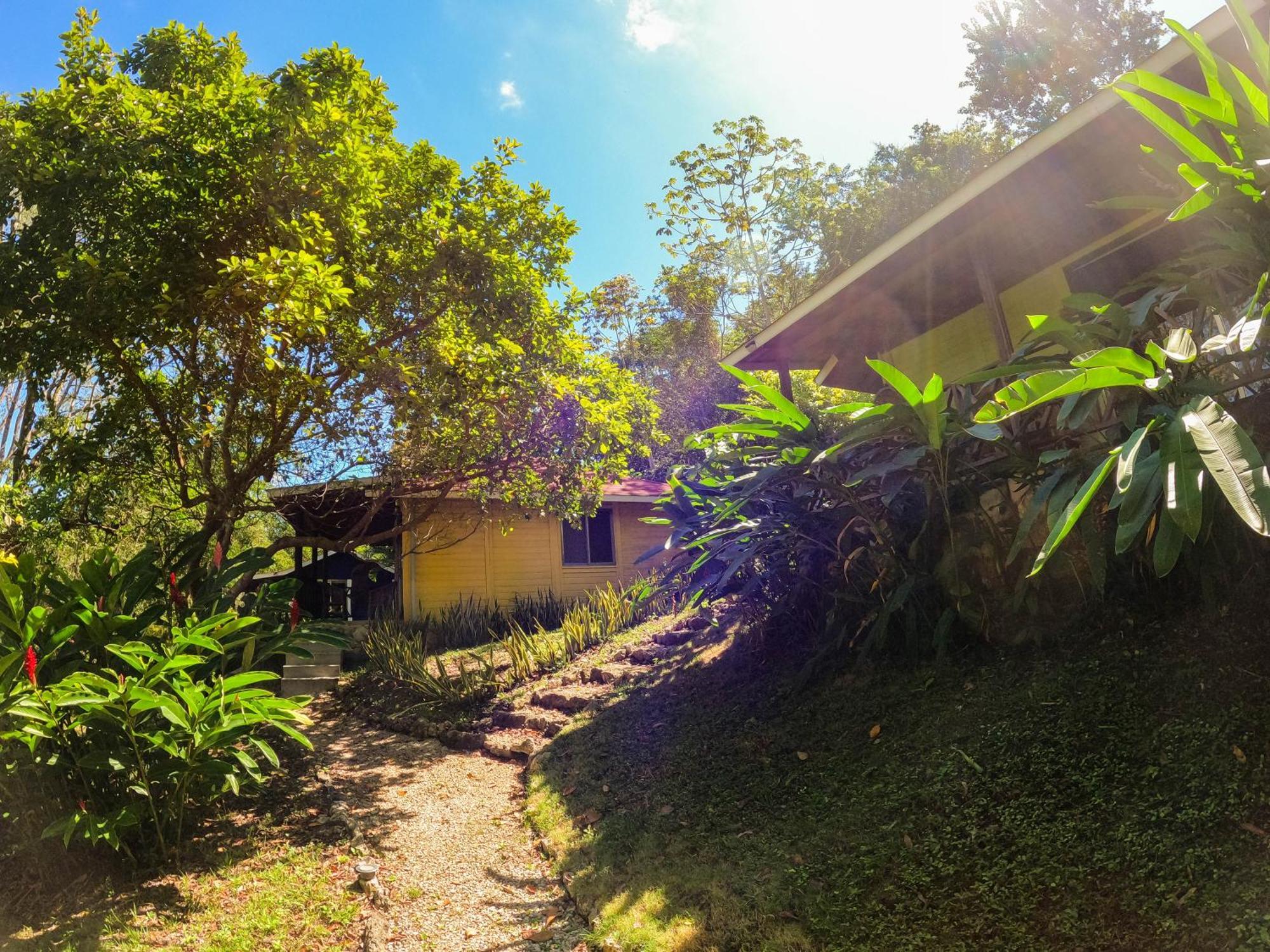 Winíka Alterra Villa Palenque Kültér fotó