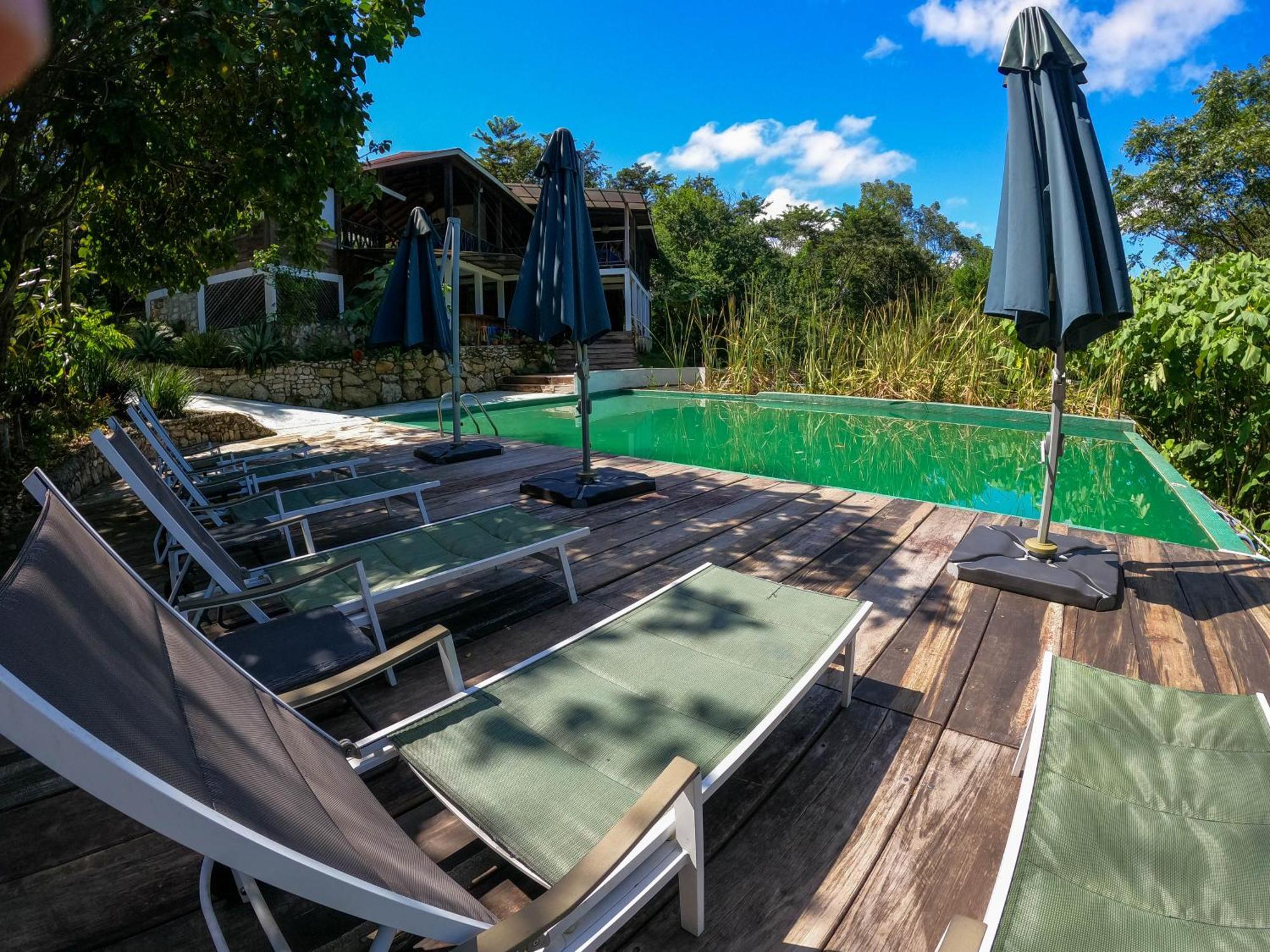 Winíka Alterra Villa Palenque Kültér fotó